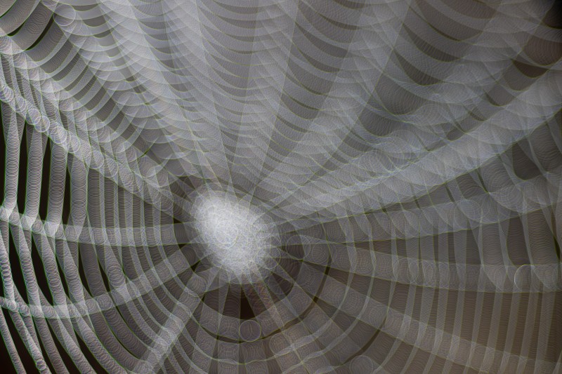 Bubbels in een spinnenweb