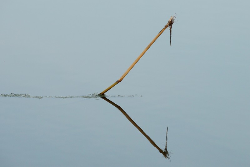 Alleen in het water.