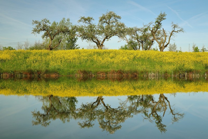 Weerspiegeling.