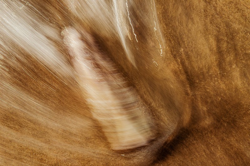 impressie van het strand