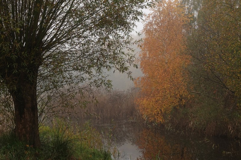 Intiem plekje in de mist