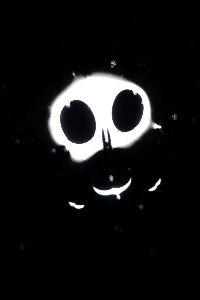 Het spook van Dalfsen