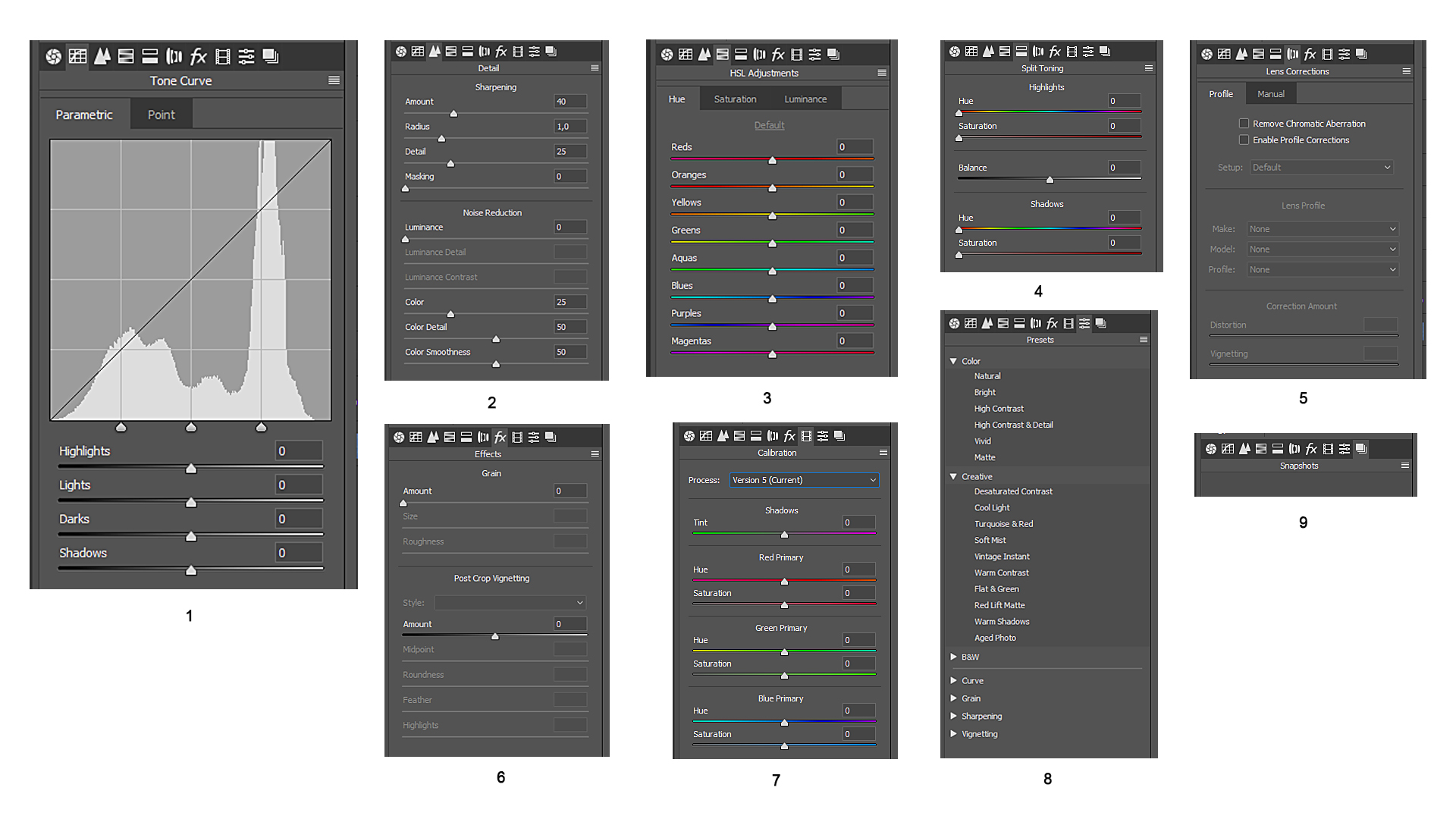 Camera RAW overall rechts menu