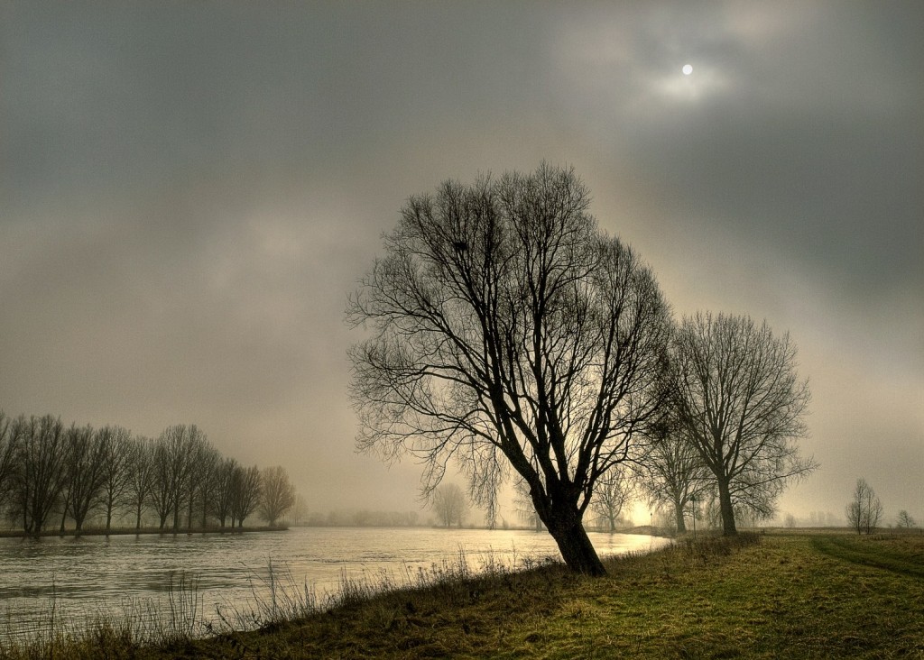 P3074325 Mist langs de IJssel 3_1511x1080